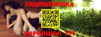 амф Усть-Джегута
